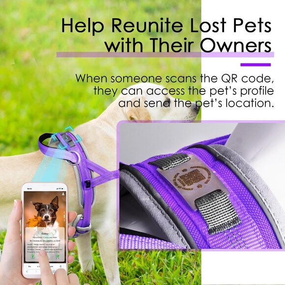 ADVENTUREMORE No Pull Dog Harness for Small Dogs with QR Code Dog Tag - Size S - Picture 6 of 13